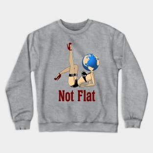 Earth Is Not Flat Crewneck Sweatshirt